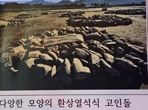 ▲환상열석식 고인돌이 여러 군데 보인다.이 고인돌들을 한 쪽에 모아놓고 비닐 같은 것로 덮어 놓았다고 한다. 환장할 일이다.